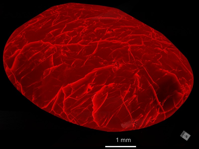 Farbige Volumendarstellung eines geschliffenen Rubins mit Bleiglasfüllung zur Bewertung der Qualität von Edelsteinen. Quick-Scan (4,62 µm / 20 min) : Farbige Volumendarstellung eines geschliffenen Rubins mit Bleiglasfüllung zur Bewertung der Qualität von Edelsteinen. Quick-Scan (4,62 µm / 20 min) 