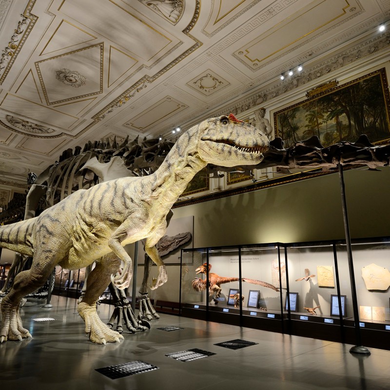 Large dinosaur skeleton and detailed model displayed in an ornate museum hall with stucco ceiling and paintings.
                                 (AI-generated alt-text, generated with GPT-4.1-mini)