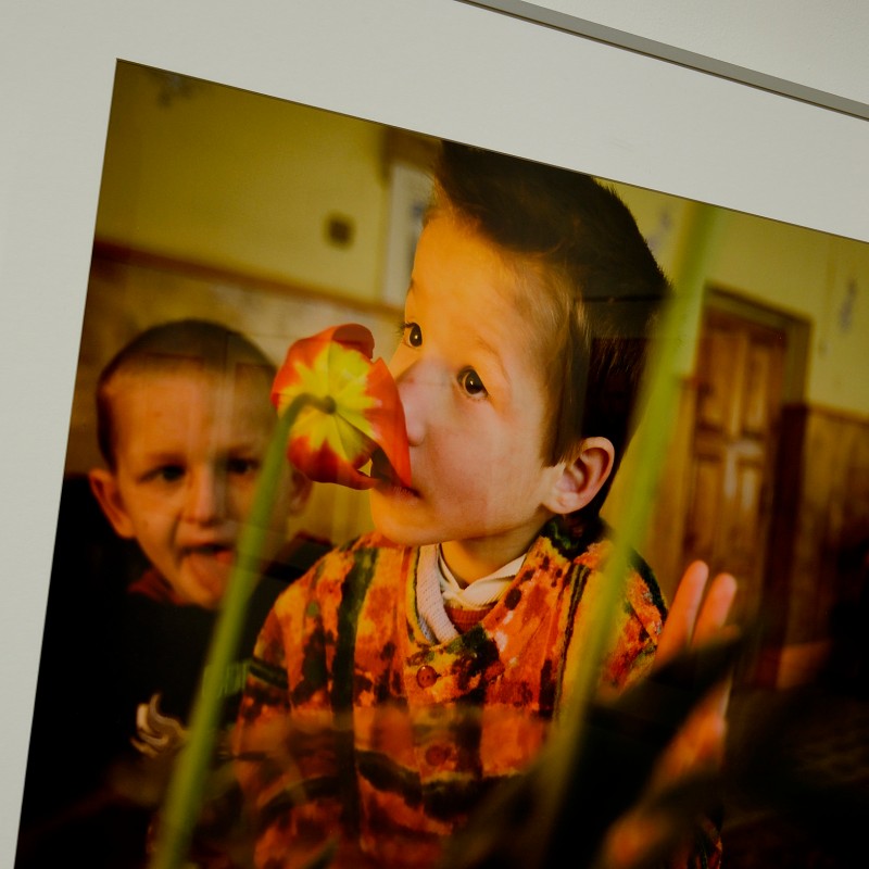 Framed color photo of a boy smelling a flower; another child in the background in an indoor setting. (AI-generated
                                 alt-text, generated with GPT-4.1-mini)