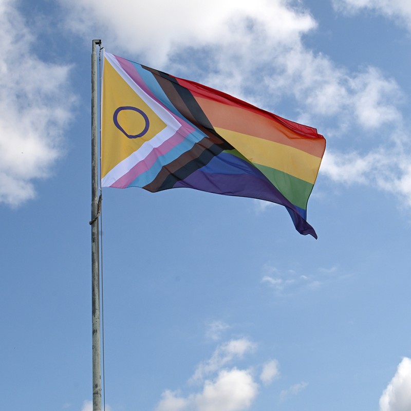 LGBTQIA+ flag
