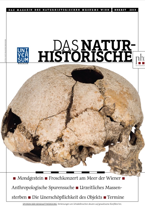 Seitliche
                                 Ansicht eines stark beschädigten, alten Schädels mit mehreren Löchern und Brüchen. (KI-generierter Alt-Text, erstellt mit
                                 GPT-4.1-mini)