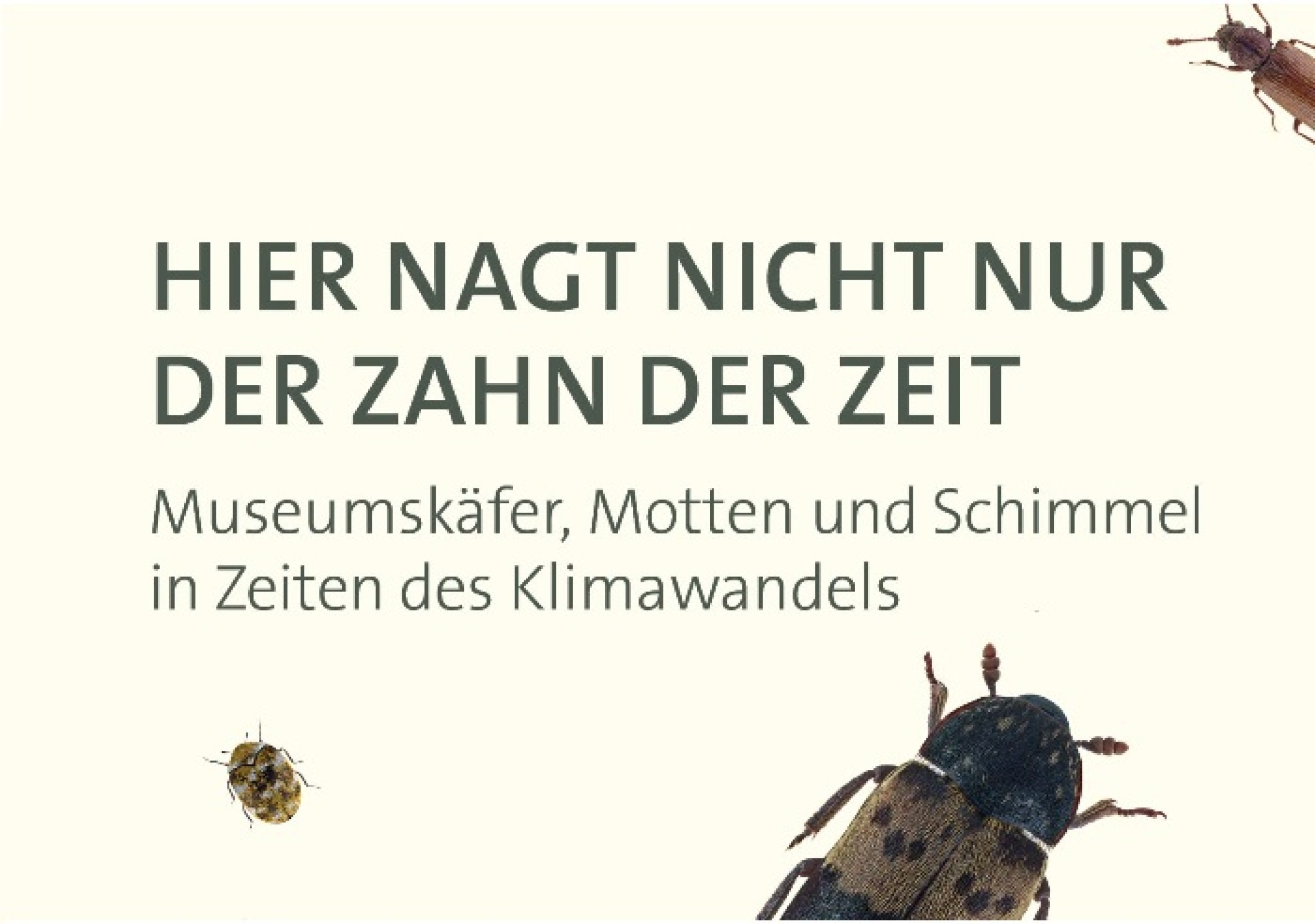 : 