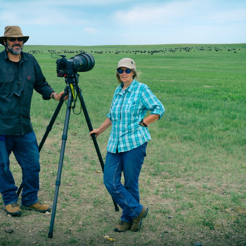 Man wearing a hat and woman with sunglasses standing beside a camera on a tripod in a grassy field, herd of animals
                                 in the distance. (AI-generated alt-text, generated with GPT-4.1-mini)