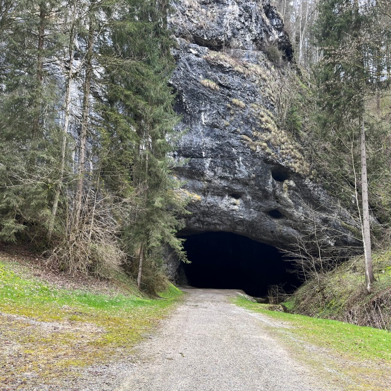 Breiter Höhleneingang der Lurgrotte Semriach in steiler, felsiger Wand, umgeben von Bäumen und Kiesweg. (KI-generierter
                                 Alt-Text, erstellt mit GPT-4.1-mini)