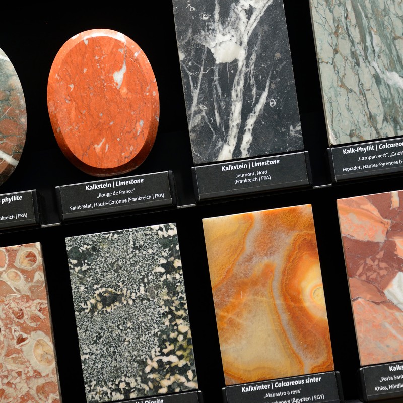 Various polished limestone and calcareous phyllite samples in different colors and patterns, arranged side by side
                                 with dark labels underneath. (AI-generated alt-text, generated with GPT-4.1-mini)