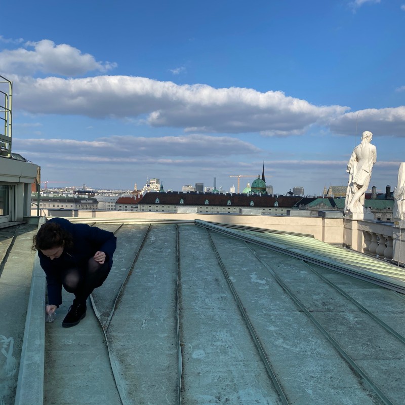 Person crouches on the museum roof next to a statue, drawing with chalk on the metal. More statues and Vienna's
                                 rooftops in the background. (AI-generated alt-text, generated with GPT-4.1-mini)