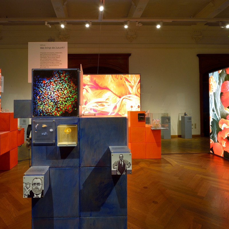 Ausstellung mit leuchtenden Wandtafeln, die stark vergrößerte Zellstrukturen zeigen, und Vitrinen mit bunten Objekten
                                 im Vordergrund. (KI-generierter Alt-Text, erstellt mit GPT-4.1-mini)