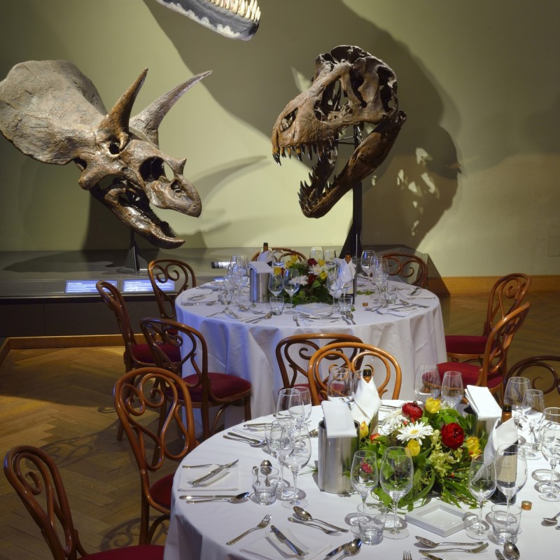 : (C) NHM-Wien/Kracher