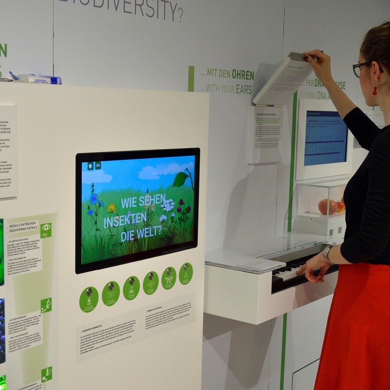 Frau mit hochgebundenen Haaren und rotem Rock nutzt interaktives Klavier in einer Ausstellung über Insektenvision
                                 im Naturhistorischen Museum Wien. (KI-generierter Alt-Text, erstellt mit GPT-4.1-mini)