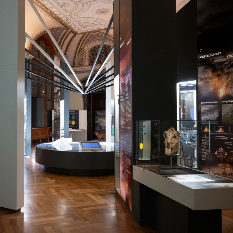 Museumsausstellung mit hohen, beleuchteten Informationstafeln, einem runden zentralen Ausstellungstisch und einem Deckenornament im Hintergrund