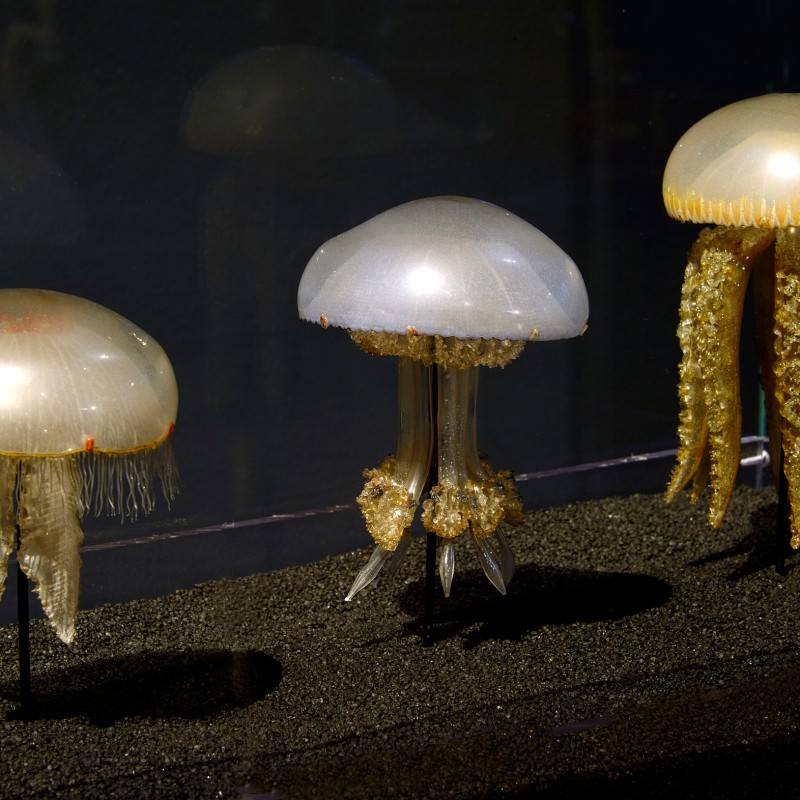 Three glass jellyfish models on black sand, each with a smooth, glossy bell and detailed tentacles. (AI-generated
                                 alt-text, generated with GPT-4.1-mini)
