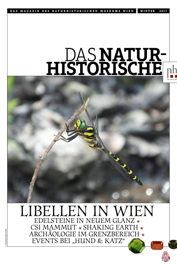 Große grün-gelbe Libelle mit gestreiftem Hinterleib sitzt auf einem Zweig vor verschwommenem Wasser. (KI-generierter
                                 Alt-Text, erstellt mit GPT-4.1-mini)