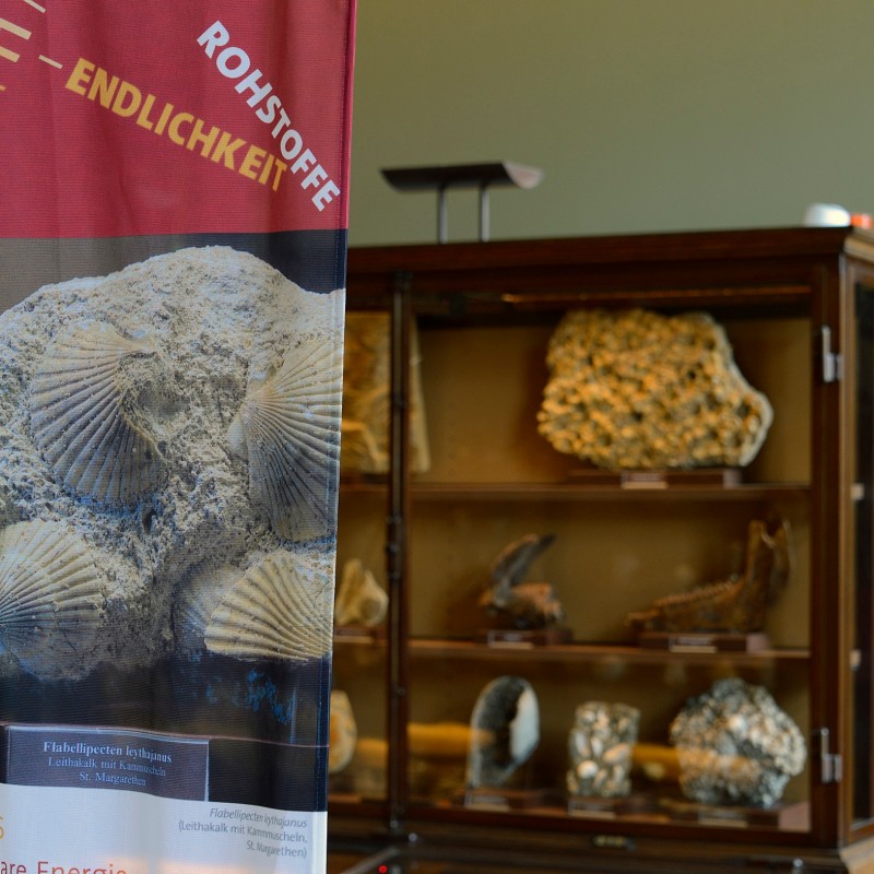 Large banner with fossilized shells in the foreground, display cases with more fossils in the background. (AI-generated
                                 alt-text, generated with GPT-4.1-mini)