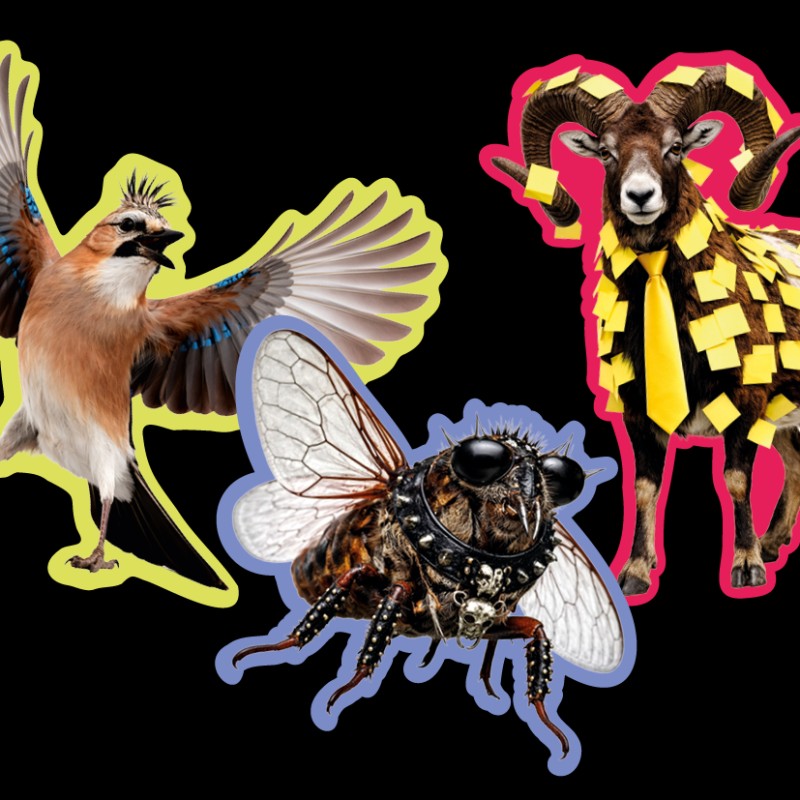 Grafisch bearbeitete Tiere