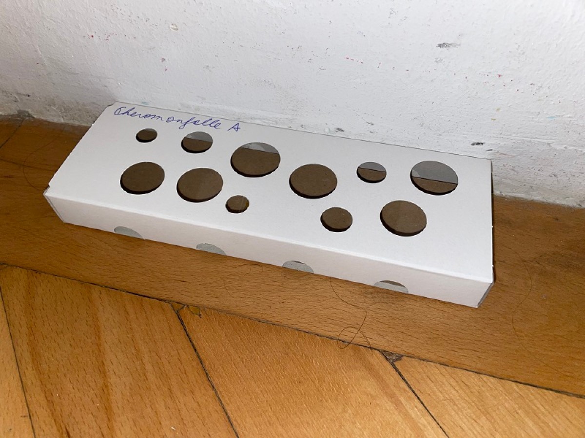 Eingesetzte Klebefalle für laufende Insekten am Boden: Weiße Klebefalle mit unterschiedlich großen runden Öffnungen liegt auf Holzboden an einer Wand. Handschriftlicher Text seitlich. (KI-generierter Alt-Text, erstellt mit GPT-4.1-mini)