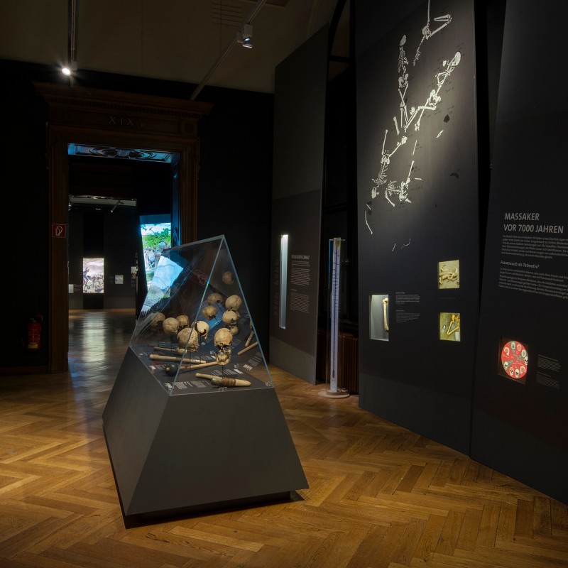 Display cases with skulls and bones in a dimly lit museum room with text panels and upright wall cases. Open door
                                 and bright hallway in the background. (AI-generated alt-text, generated with GPT-4.1-mini)