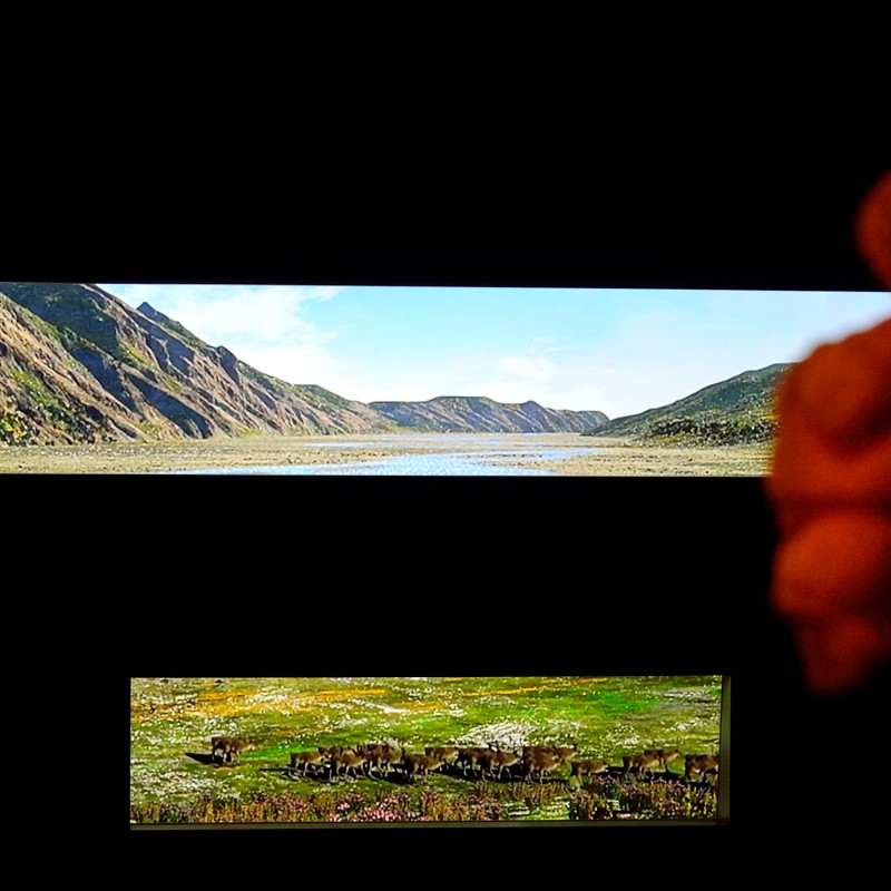 Panorama
                                 einer grünen Tallandschaft mit Bergen im Hintergrund, im Vordergrund unscharfe Figur. (KI-generierter Alt-Text, erstellt mit
                                 GPT-4.1-mini)