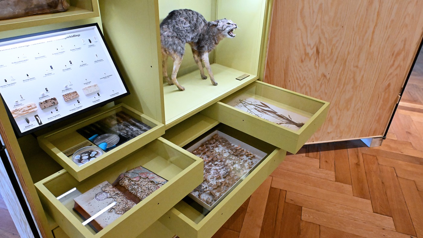 Damaged objects are displayed in the exhibition © NHM Vienna, Chloe Potter