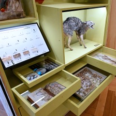 : Beschädigte Objekte werden in der Ausstellung gezeigt © NHM Wien, Chloe Potter