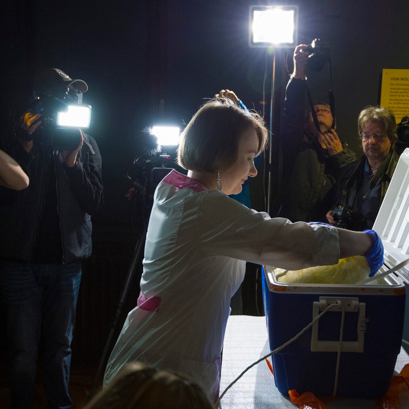 Woman in a white coat and blue gloves lifts an object from a large cooler, surrounded by multiple photographers
                                 with cameras and bright flashes. (AI-generated alt-text, generated with GPT-4.1-mini)