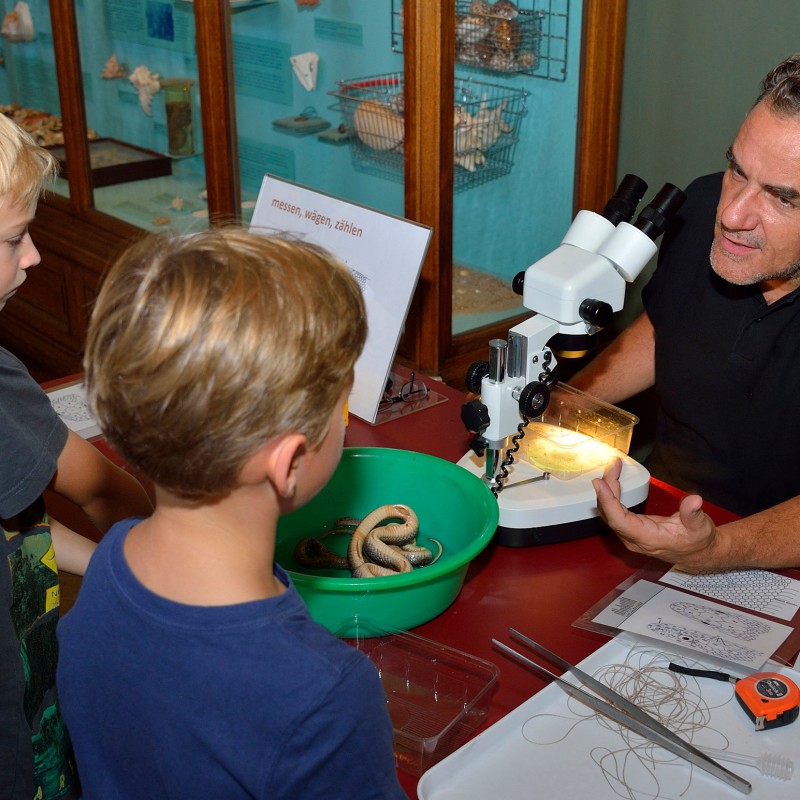 An adult man sits at a table with a microscope, talking to two boys. The table holds a green bowl with snakes, a
                                 tape measure, and papers. (AI-generated alt-text, generated with GPT-4.1-mini)