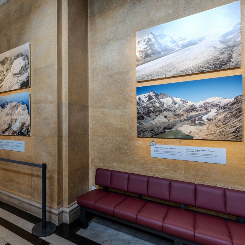 Corridor of the NHM Vienna with pictures from the
                                 exhibition 