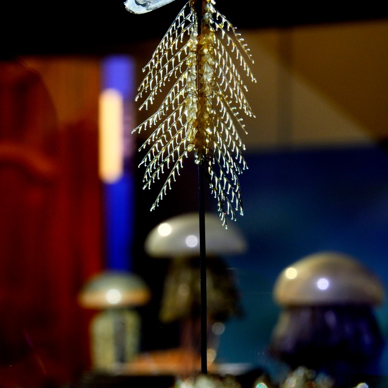 Fossil of a marine animal with an elongated body and feathery limbs extending from the sides, mounted on a stand.
                                 (AI-generated alt-text, generated with GPT-4.1-mini)