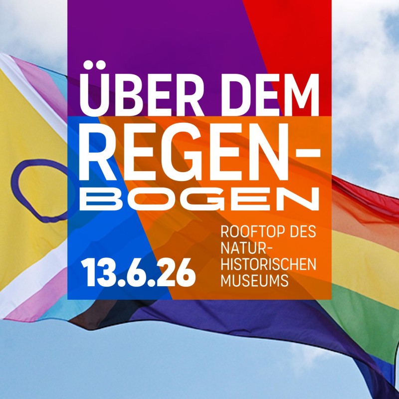 LGBTQIA+ flag