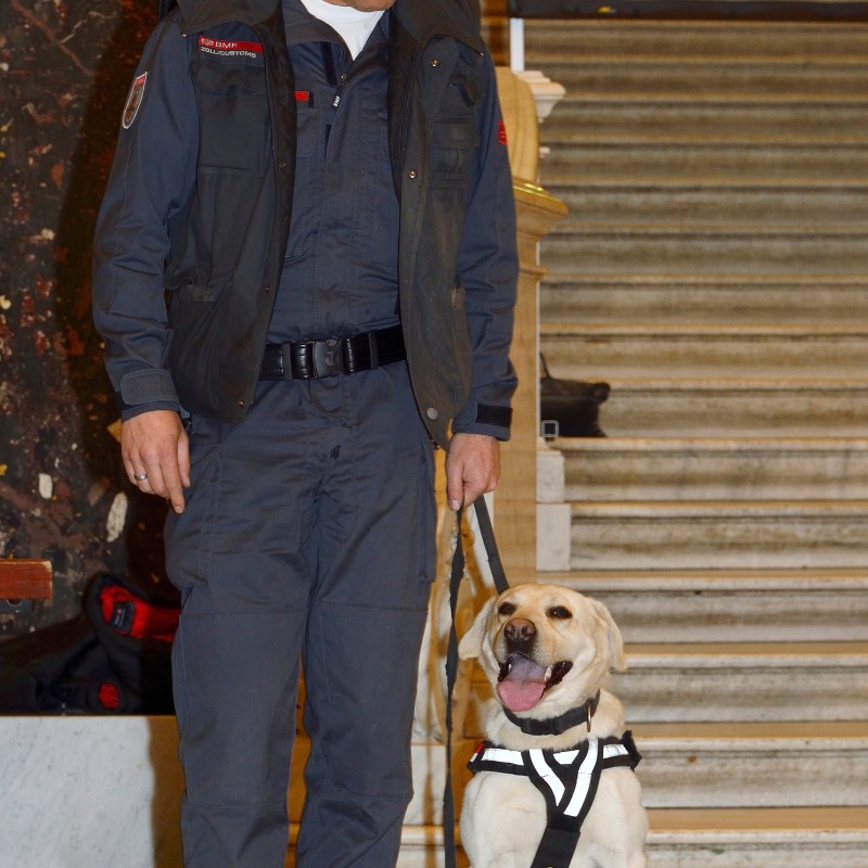 A man in dark blue uniform and vest holds the leash of a seated Labrador wearing a reflective harness. The man looks
                                 down at the dog. They stand in front of a staircase indoors. (AI-generated alt-text, generated with GPT-4.1-mini)