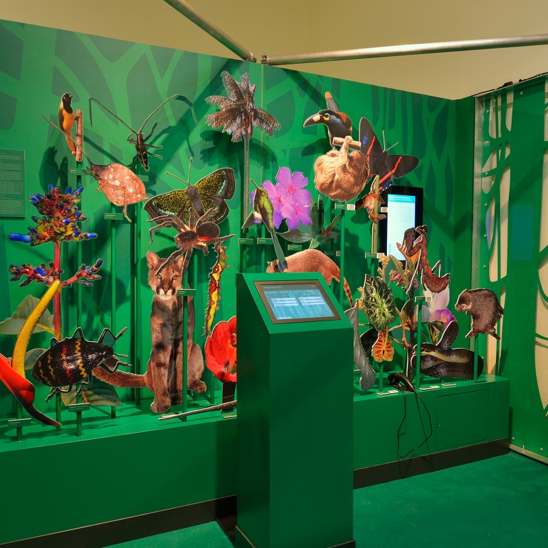 Bunte Modelle verschiedener Tiere und Pflanzen stehen auf einer grünen Ausstellungsfläche vor einer Wand mit Blättermuster.
                                 Davor ein Bildschirm auf einem Podest. (KI-generierter Alt-Text, erstellt mit GPT-4.1-mini)