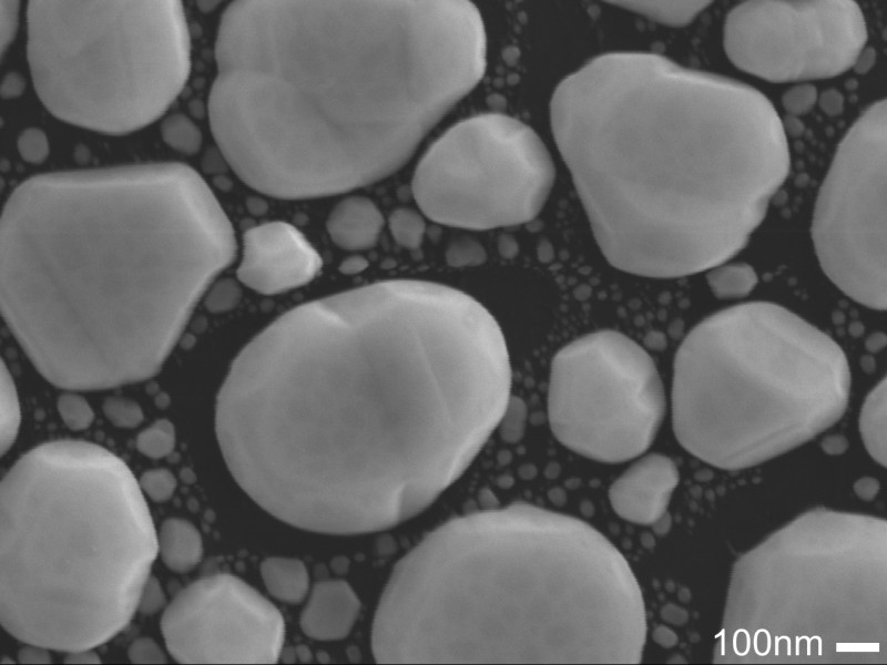 High-resolution SE image of gold grains on carbon to highlight the instrumental resolution: High-resolution SE image of gold grains on carbon to highlight the instrumental resolution