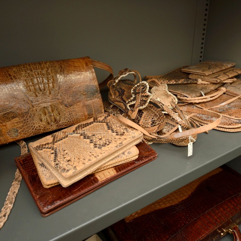 Multiple handbags, wallets, and belts made of beige and brown patterned leather with reptile skin texture on shelves.
                                 (AI-generated alt-text, generated with GPT-4.1-mini)