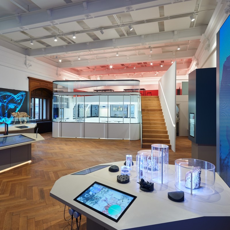 Modern exhibition room with digital panels, glass display cases, specimens in transparent cylinders, and a large
                                 blue butterfly image on the wall. (AI-generated alt-text, generated with GPT-4.1-mini)