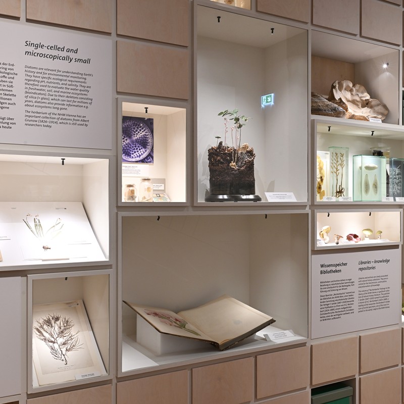 Ausstellungsraum mit Fotos und Herbarium-Information