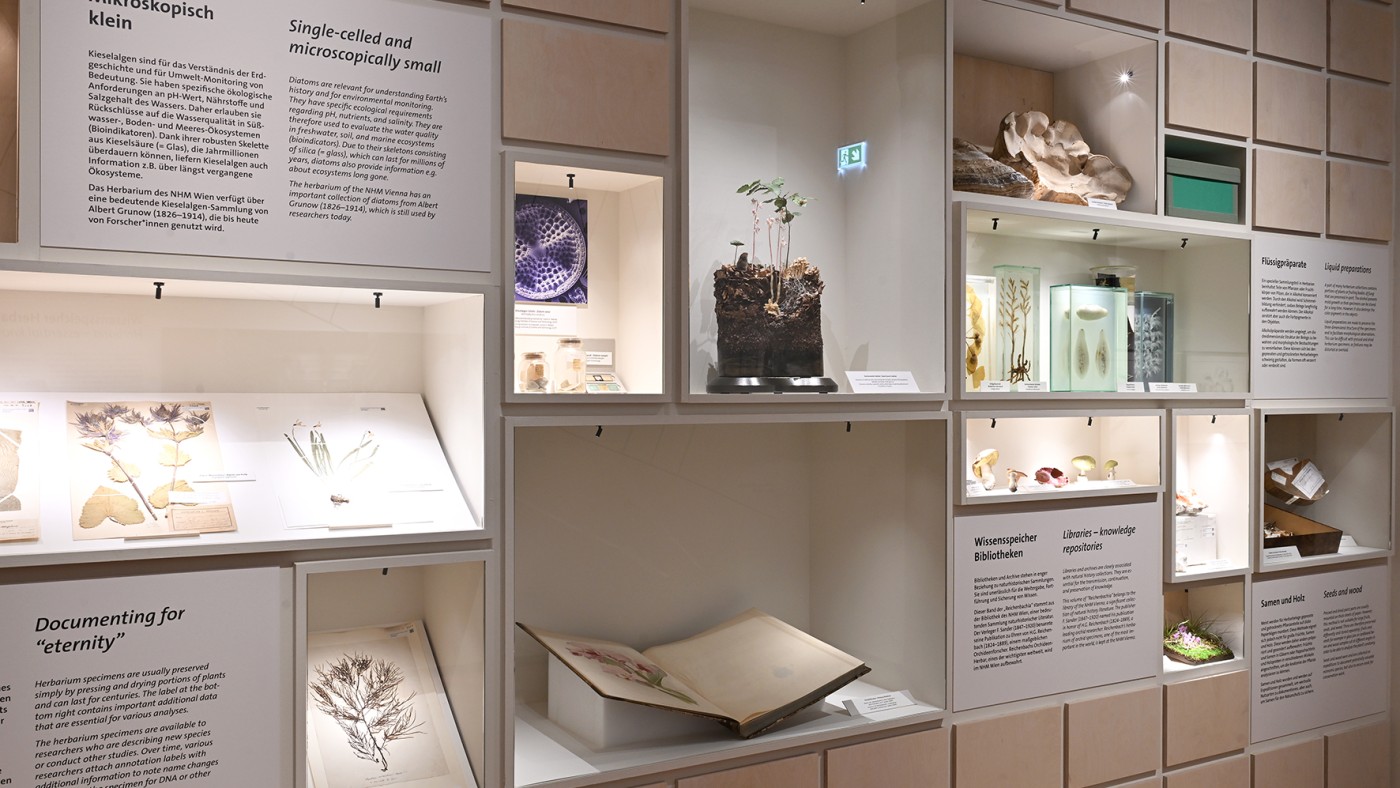 Exhibition hallt with photos and herbarium information