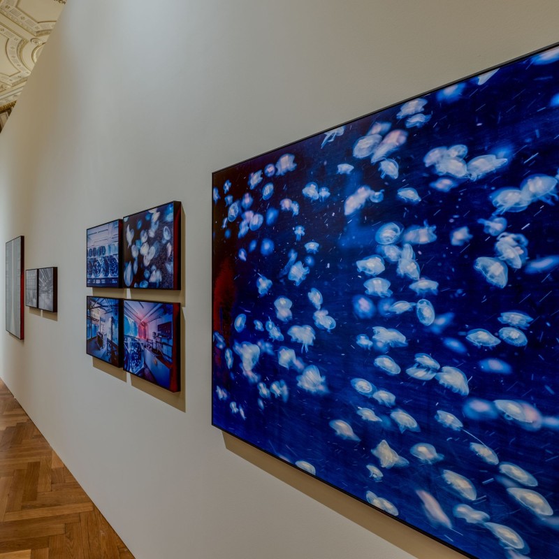 Bilder
                                 der Ausstellung 