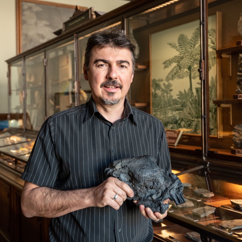 Mann mit kurzen Haaren, Bart, einem gestreiften dunklen Hemd mit kurzen Ärmeln und einem dunklen Objekt in den Händen steht vor einer Vitrine mit Fossilien
