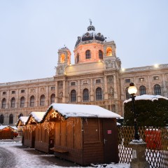 : (C) NHM-Wien/Rittmannsperger
