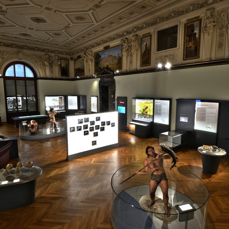 Exhibition hall with dioramas, display cases, and a life-sized figure of an early human holding a spear in the center.
                                 (AI-generated alt-text, generated with GPT-4.1-mini)