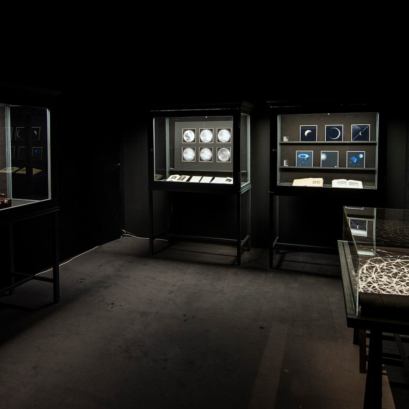 Dark exhibition room with several illuminated display cases showing jewelry, objects, and fossils. (AI-generated
                                 alt-text, generated with GPT-4.1-mini)