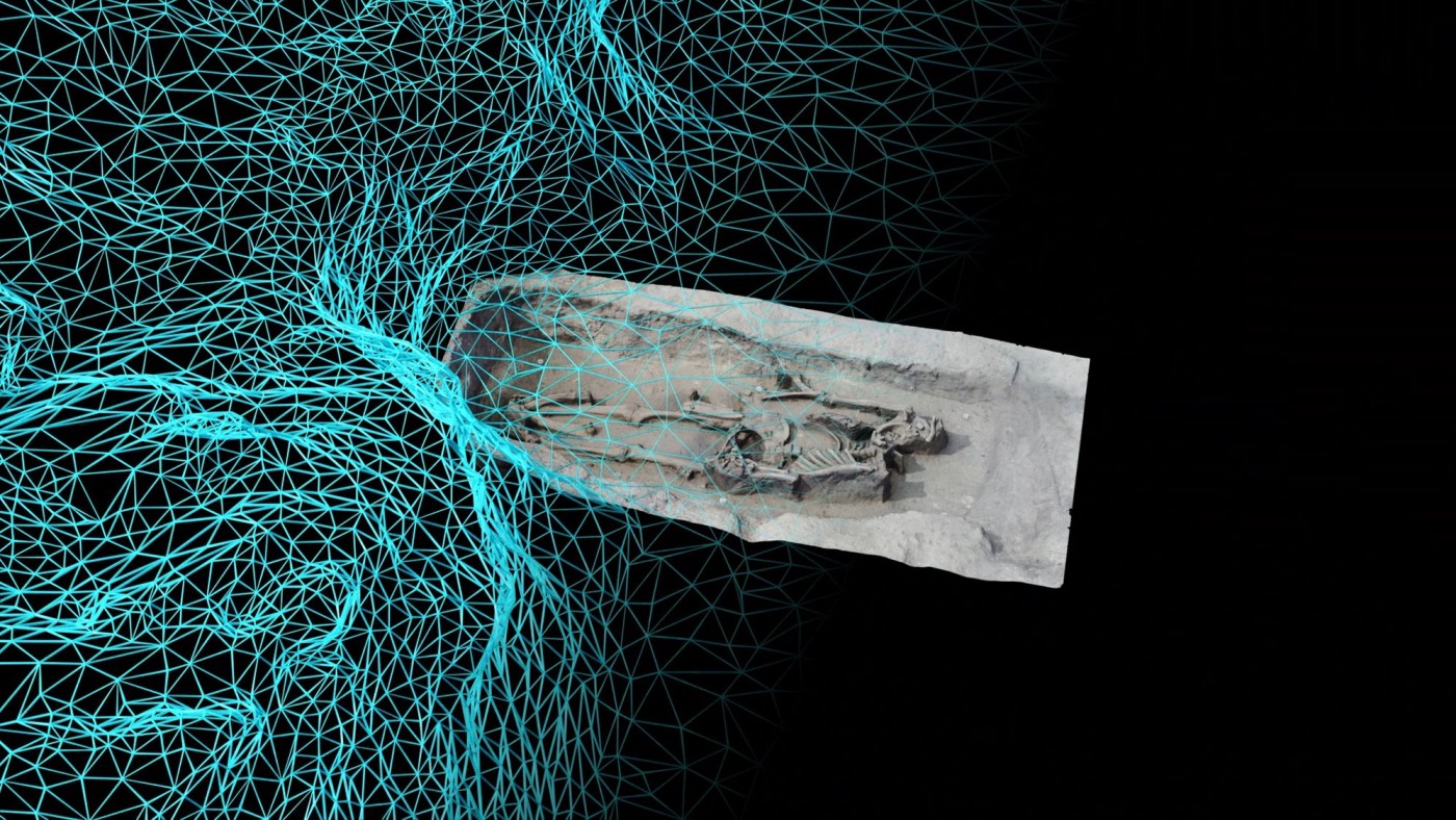 Knochenfunde mit farbiger Fotobearbeitung