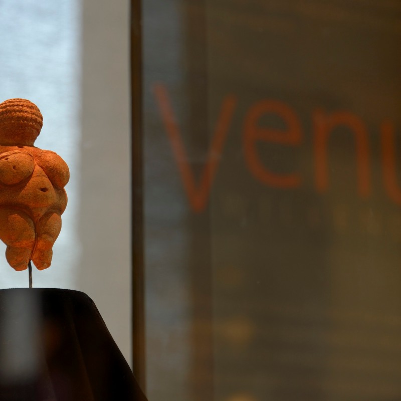 Skulptur der Venus von Willendorf auf einem schwarzen Podest, Fokus auf die Figur, unscharfer Hintergrund mit dem
                                 Schriftzug 'Venus'. (KI-generierter Alt-Text, erstellt mit GPT-4.1-mini)