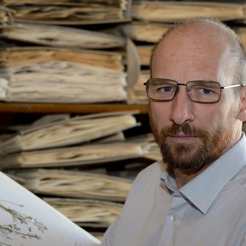 Man with short hair, glasses and beard holding a sheet with a botanical drawing; stacked herbarium sheets in background.
                                 (AI-generated alt-text, generated with GPT-4.1-mini)