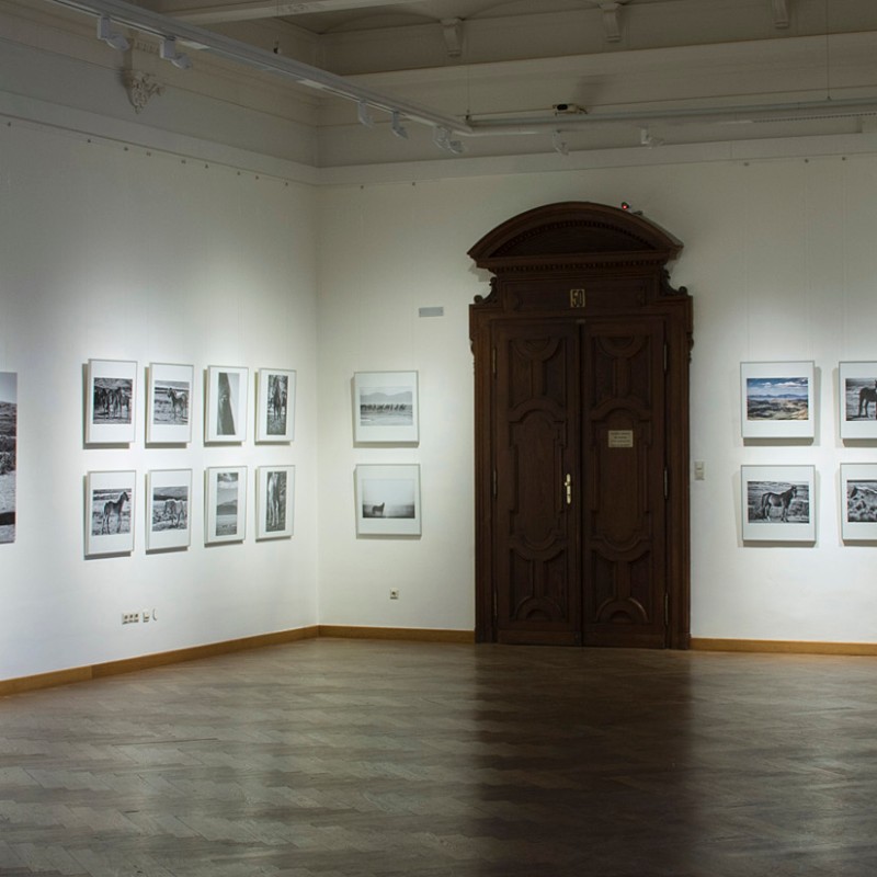 Ausstellungsraum mit gerahmten Fotografien an weißen Wänden, Motorrad rechts neben Tafel mit großem Text. (KI-generierter
                                 Alt-Text, erstellt mit GPT-4.1-mini)