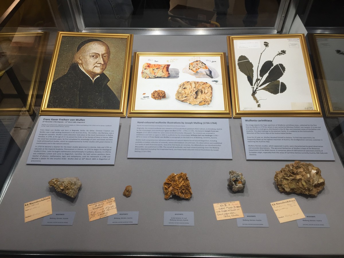 Ausstellungsvitrine, Tucson Gem & Mineral Show, 2019: Ausstellungsvitrine, Tucson Gem & Mineral Show, 2019