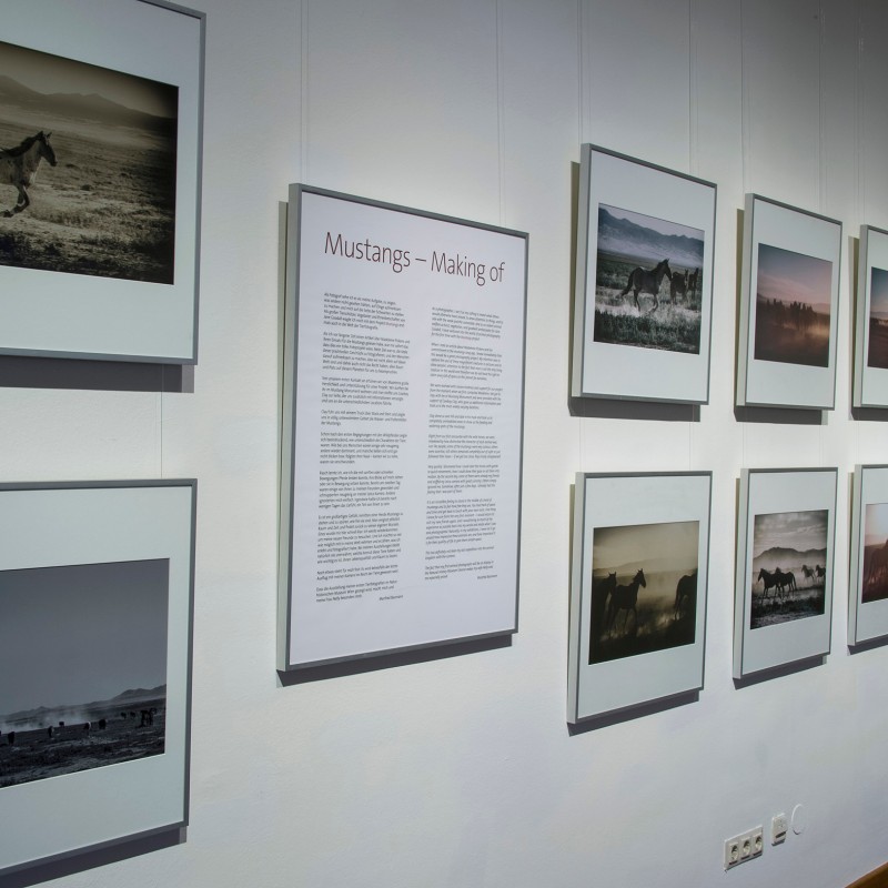 Wall with framed black-and-white photographs of wild horses and landscapes, plus a large centrally placed text panel.
                                 (AI-generated alt-text, generated with GPT-4.1-mini)