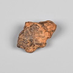 : Echte Meteoriten von vielen Fundorten, Mond & Mars  © NHM Wien, C. Potter 