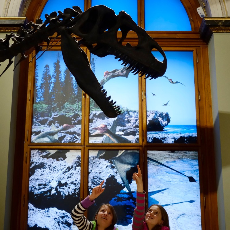 Two children smiling and pointing at a dinosaur skull in an exhibition hall with a large window and landscape mural.
                                 (AI-generated alt-text, generated with GPT-4.1-mini)