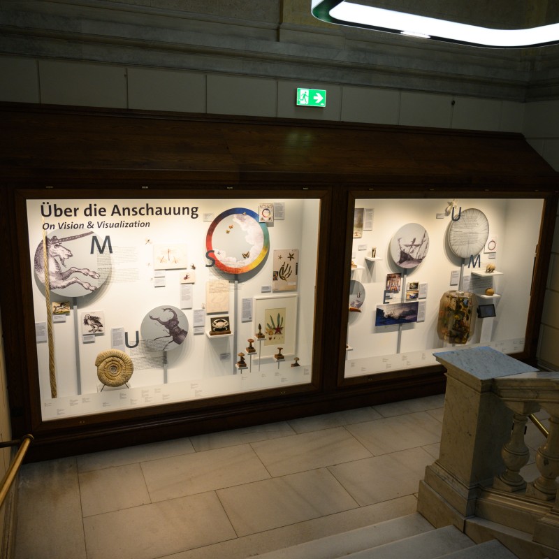 Museumstreppe mit Blick auf zwei beleuchtete Vitrinen voller historischer Objekte, Zeichnungen und Instrumente.
                                 Tafel mit der Aufschrift 'Über die Anschauung'. (KI-generierter Alt-Text, erstellt mit GPT-4.1-mini)