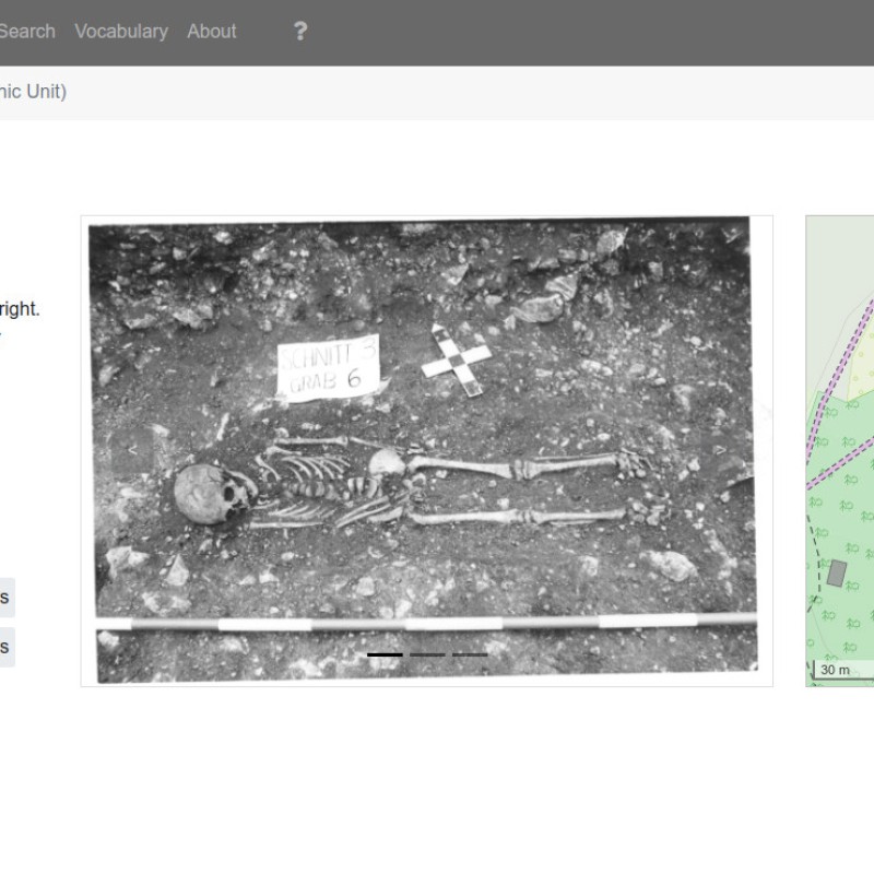 Archaeological
                                 child's skeleton lying on its back in soil, arms extended, with measuring scale and label plate. (AI-generated alt-text, generated
                                 with GPT-4.1-mini)